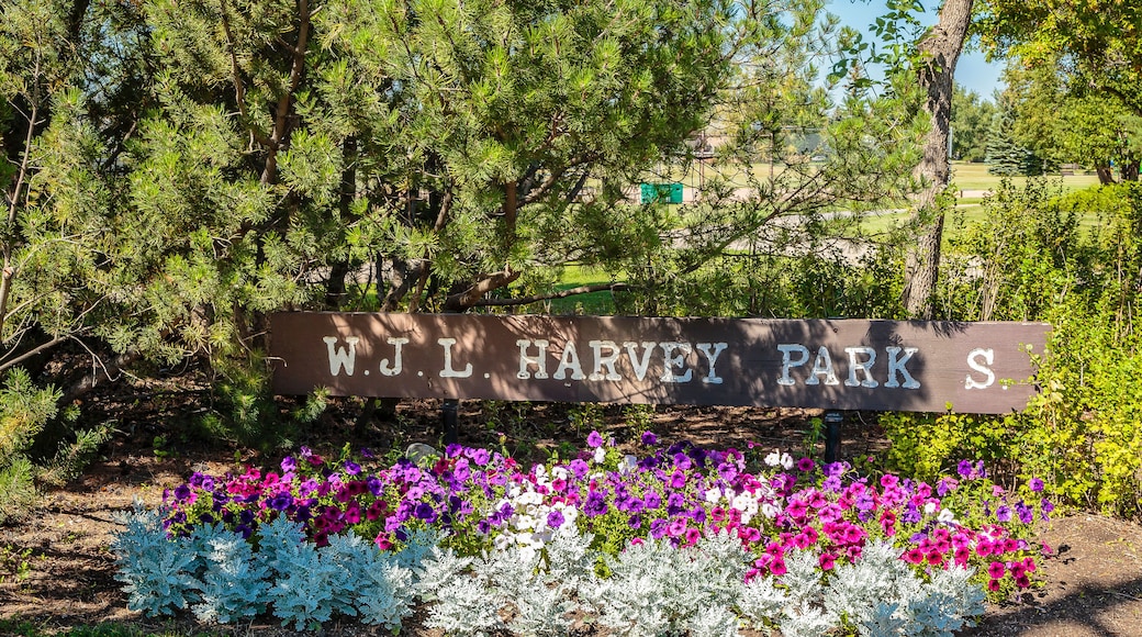 W.J.L Harvey Park South in Saskatoon, Canada