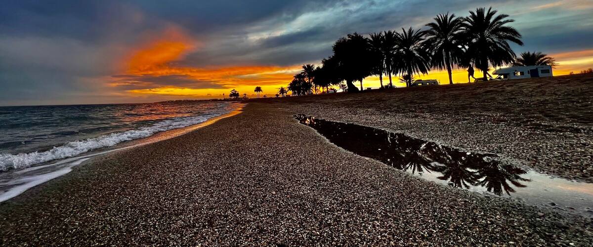 A pebbled beach with palm trees and a sunset.