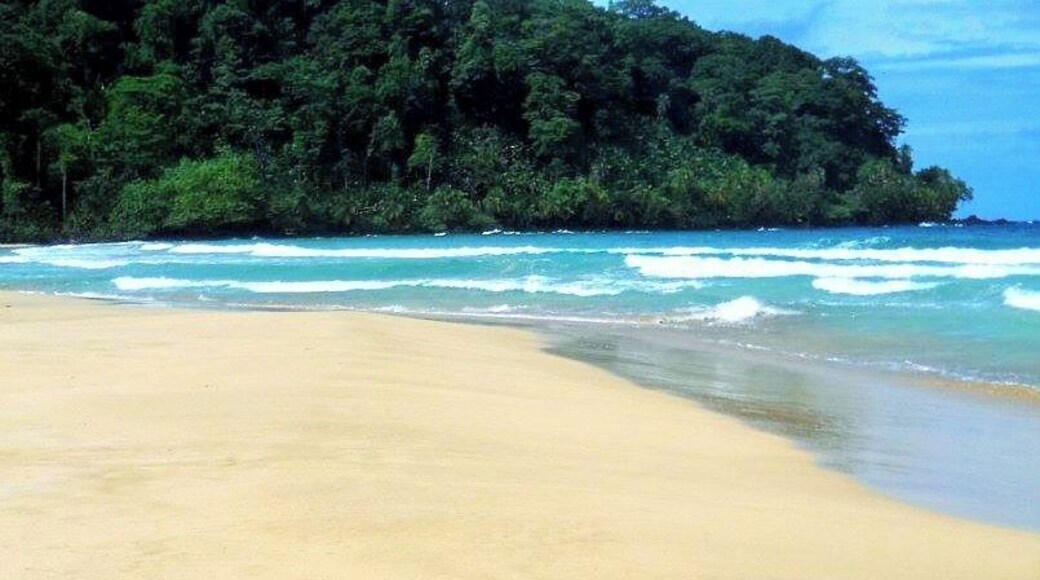 Best lil beach we found through Central America.