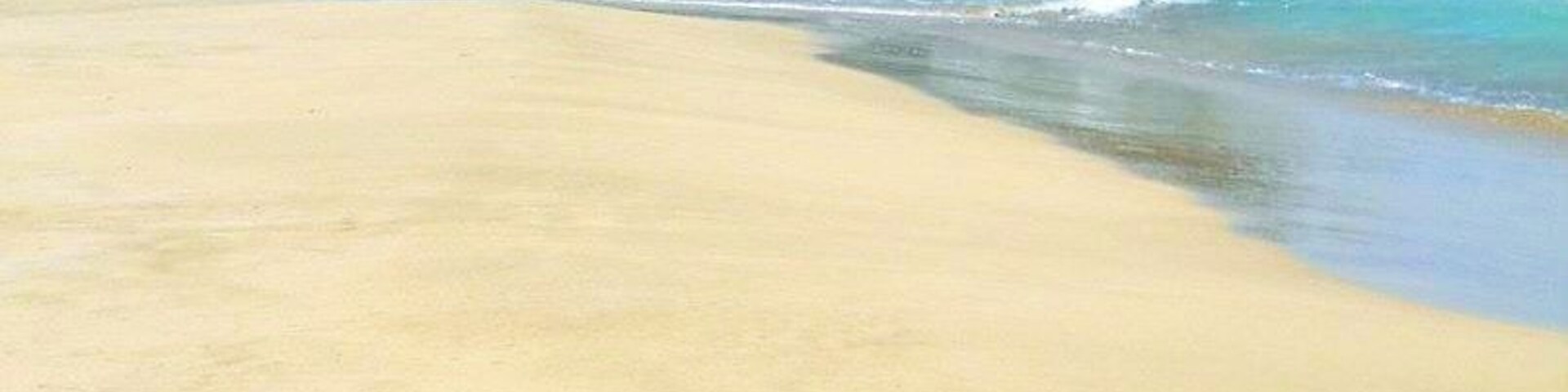 Una playa arenosa con olas suaves y un denso follaje verde al fondo.