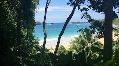 Una playa tropical con aguas azul turquesa, rodeada de exuberante vegetación y palmeras.