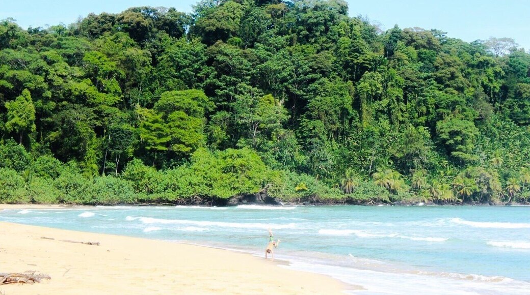 Was a long difficult âwalkâ through the jungle. But worth it! Maybe donât attempt it when itâs been raining a lot. It was really muddy and slippery, and there isnât much of a path. But no crowds, and itâs extremely peaceful.