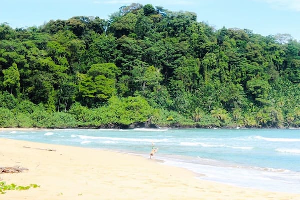 Was a long difficult “walk” through the jungle. But worth it! Maybe don’t attempt it when it’s been raining a lot. It was really muddy and slippery, and there isn’t much of a path. But no crowds, and it’s extremely peaceful.