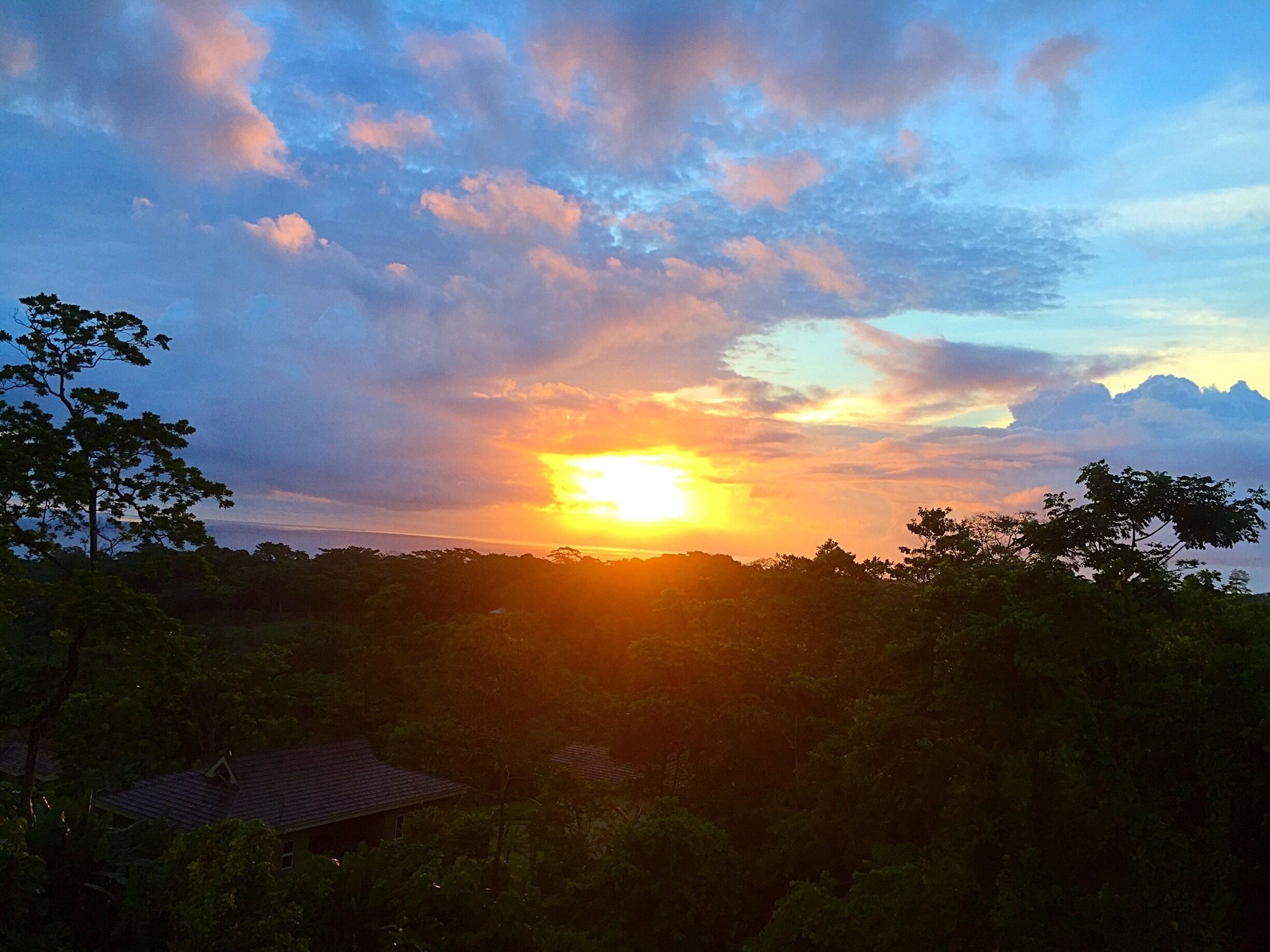 One of the most beautiful sunrises I have ever seen!! Listening to the rainforest come alive was unforgettable! 