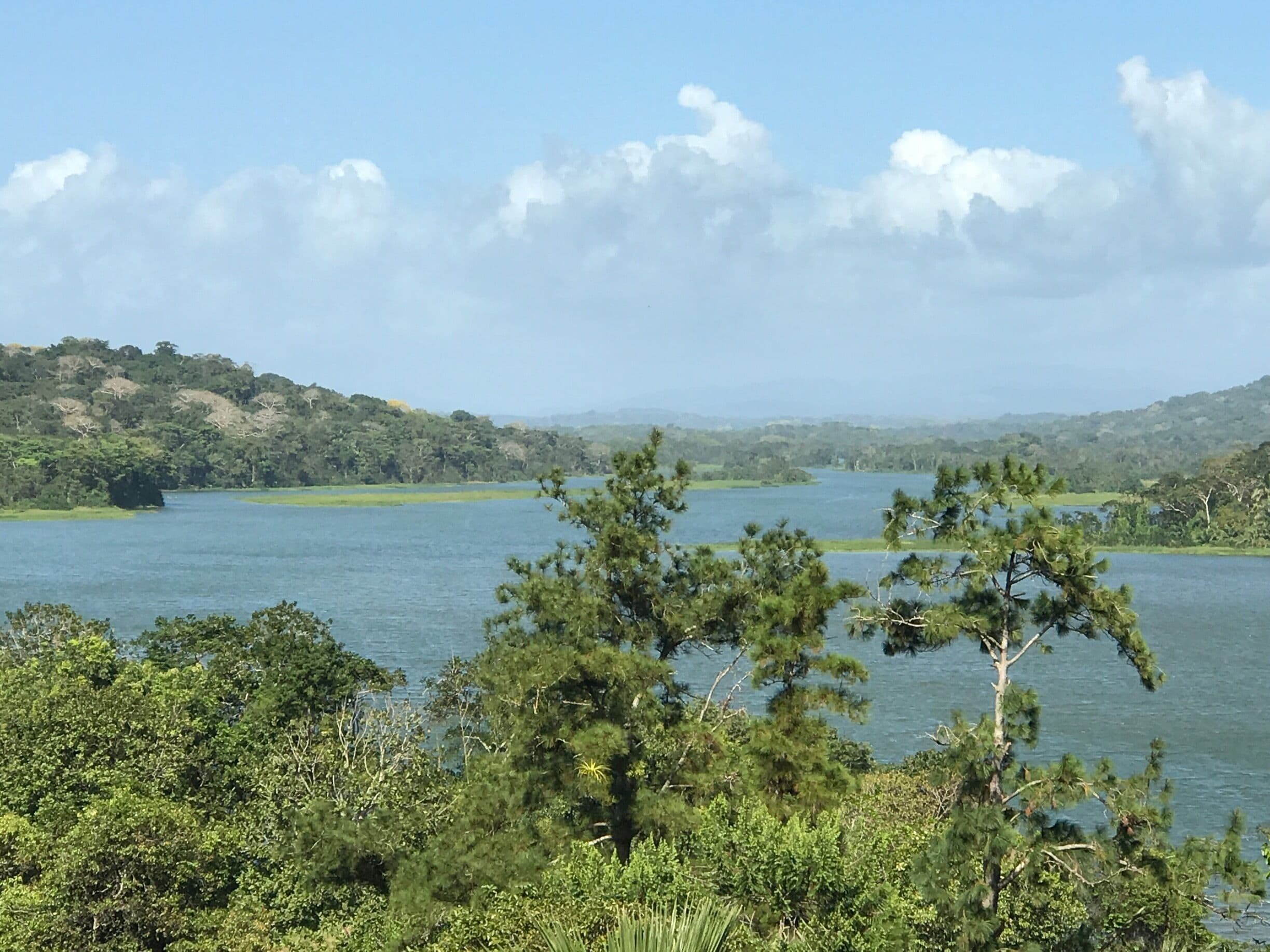 Amazing view from Jungle hotel