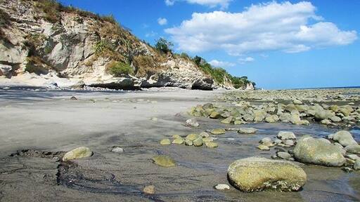 Cliffs and tide pools make for an interesting beach. You'll have it all to yourself. Except for a few cows.