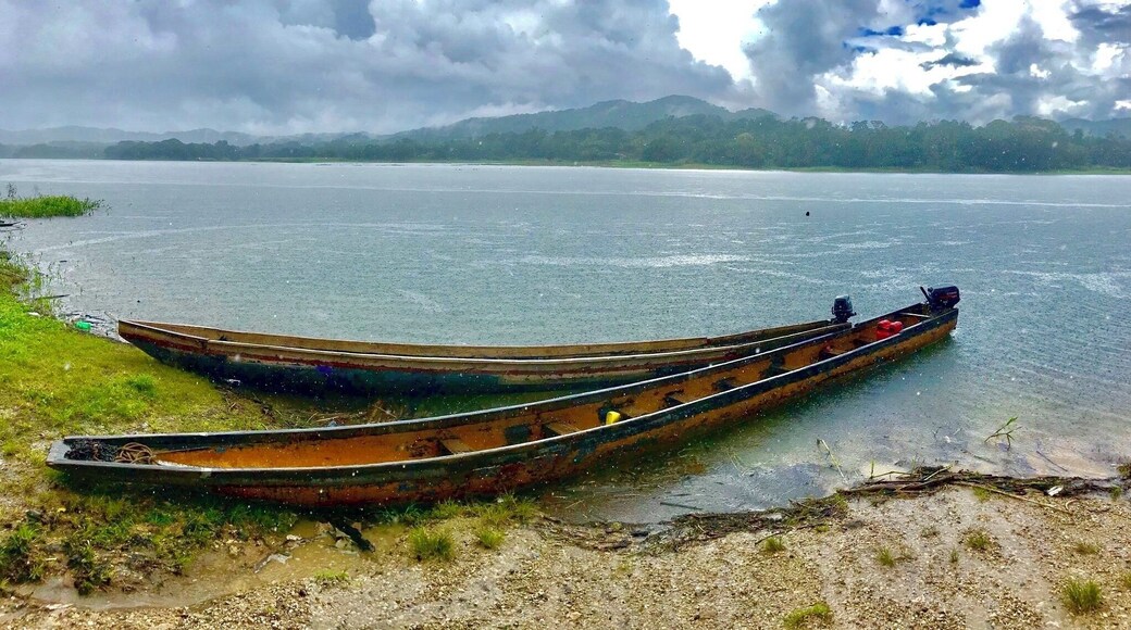 A beautiful national park.