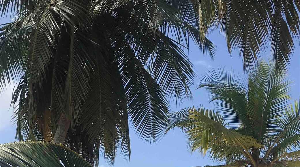 Secluded island in the Guna Yala region of Panama