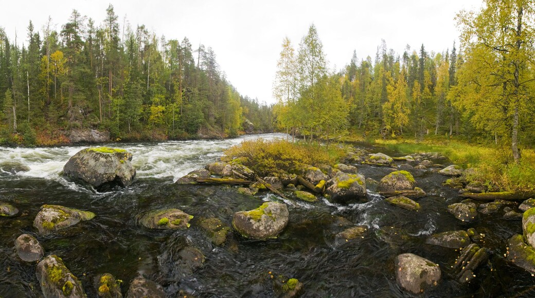 Canyon Glimpse Wanderweg