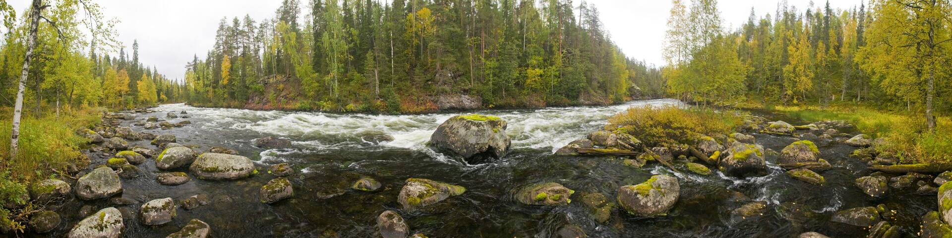 Cliff, stone wall, forest, waterfall and wild river panoramic view in autumn. Fall colors - ruska time in Myllykoski. Karhunkierros Trail, Oulanka National Park in north Finland. Lapland, Europe