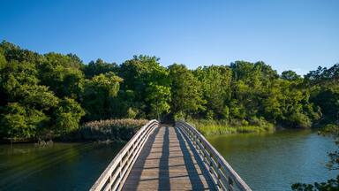 Drone view of the wooden bridge looking toward the picnic area of Sunken Meadow State Park