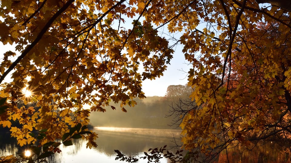 A morning view of Avalon park and preserve, Stony Brook, New York, with color trees in the foreground and sun rays and mist in the pond