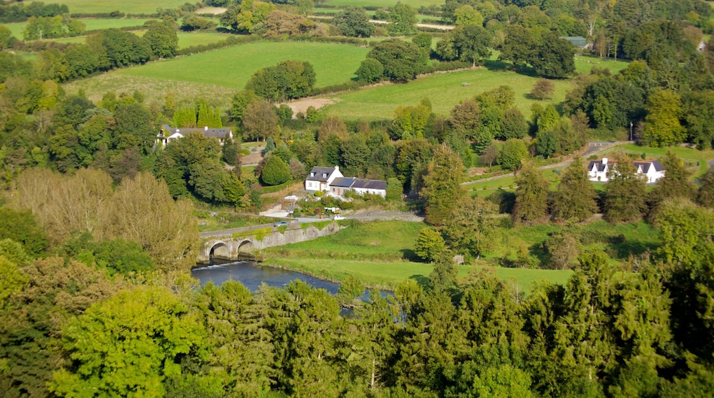 Irland das einen Waldmotive, Kleinstadt oder Dorf und Haus