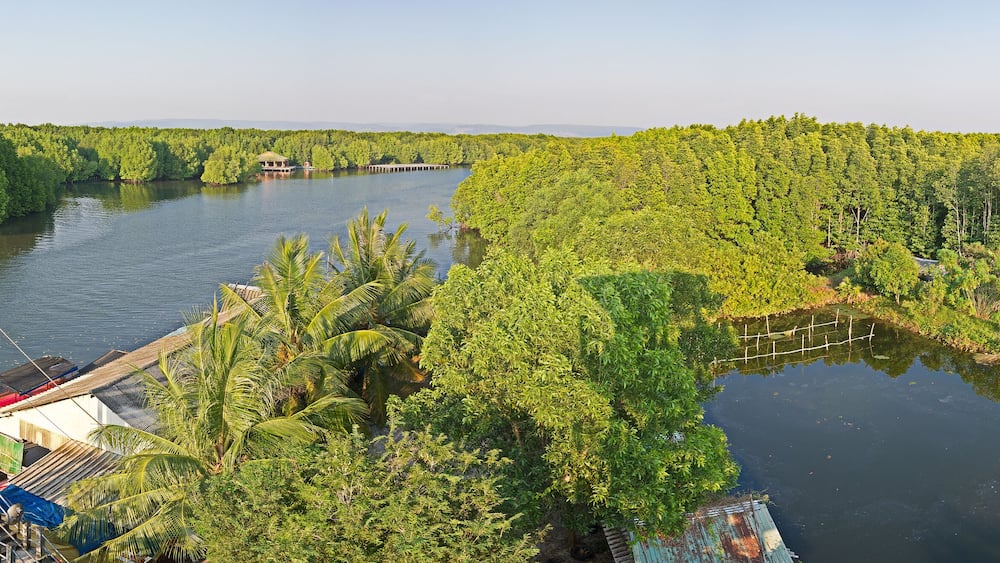 Panoramic view area of a mangrove forest in Krong Koh Kong, Cambodia