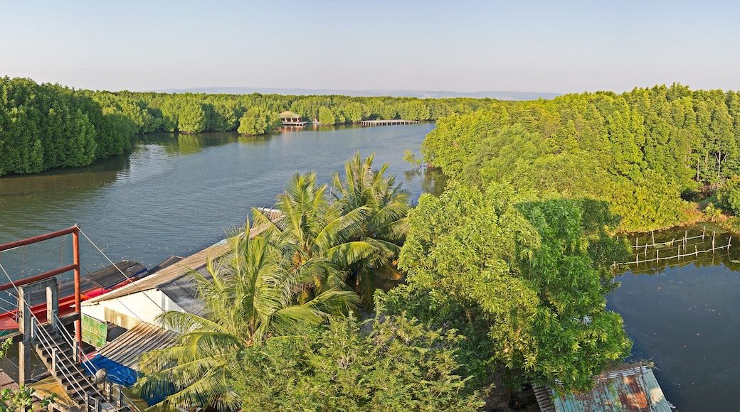 Panoramic view area of a mangrove forest in Krong Koh Kong, Cambodia