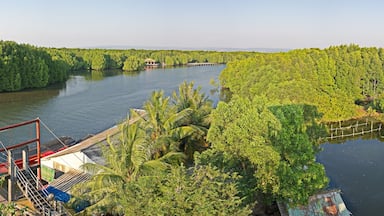 Panoramic view area of a mangrove forest in Krong Koh Kong, Cambodia
