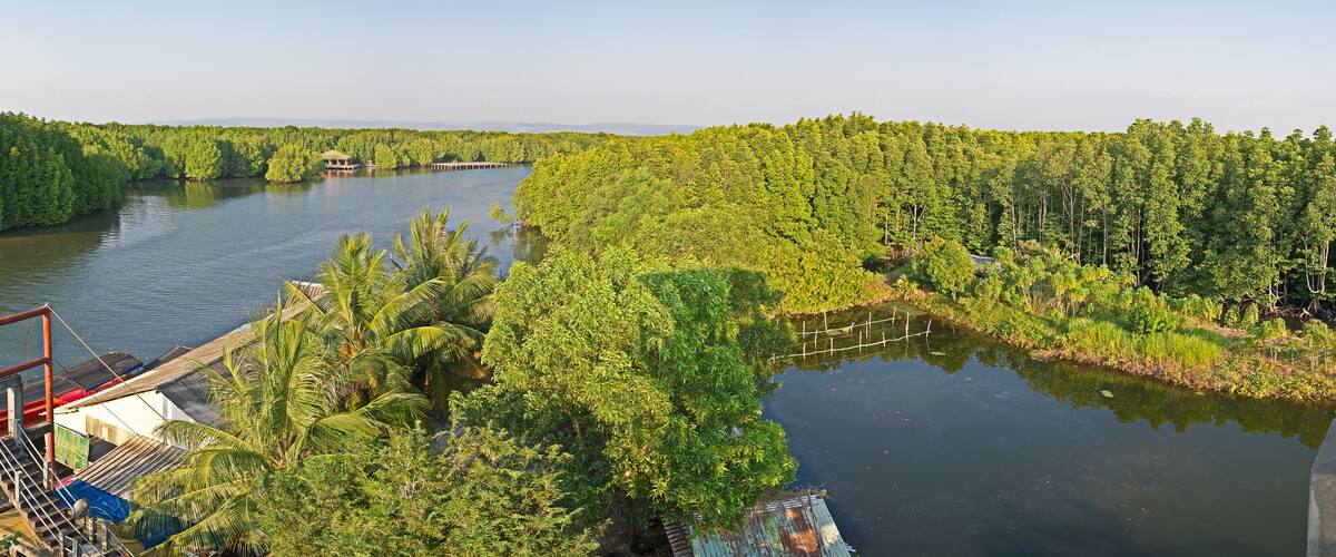A river surrounded by dense green forest, a wooden bridge, and a small building.