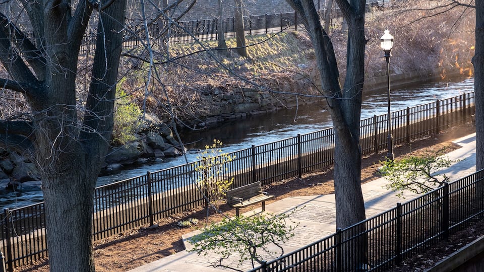 A riverside walkway with a bench, trees, and a lamp post.