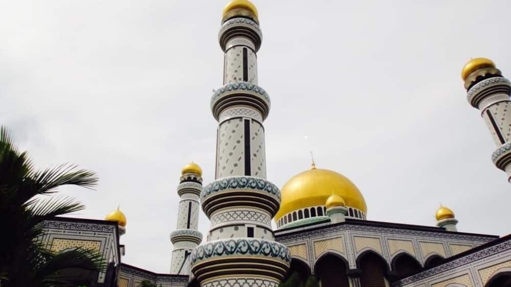 Beautiful
Great manicure lawns