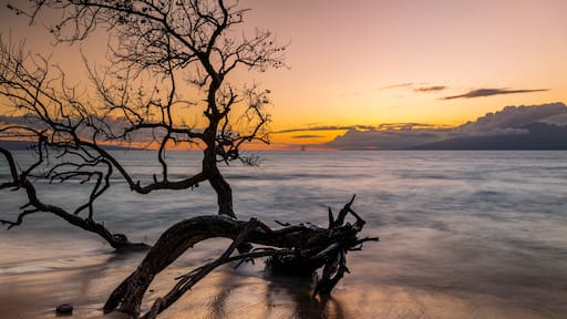 Honokōwai Beach Park Maui Hawaii