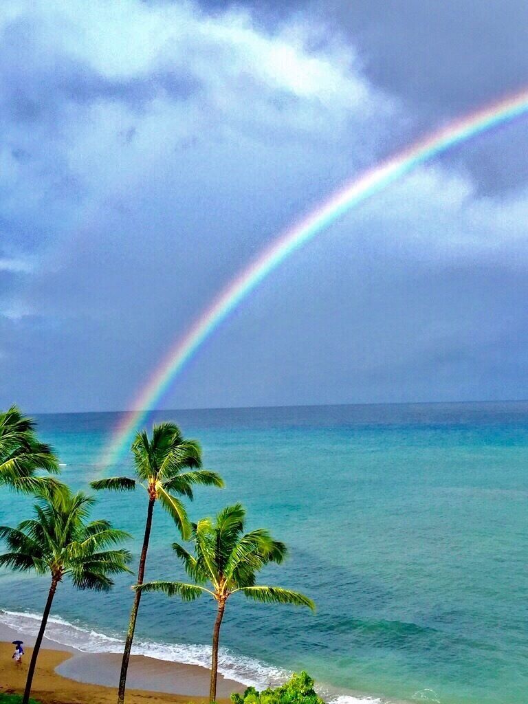 Somewhere over the rainbow 
This is your view at The Royal Kahana in Maui
#BeachBound
#Maui 
#Hawaii
