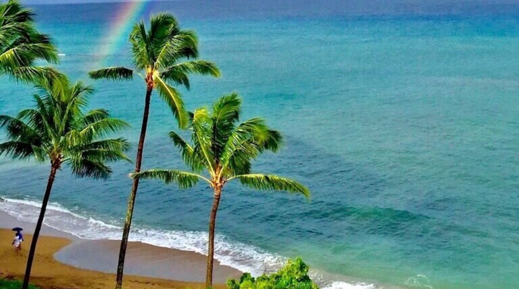 Somewhere over the rainbow
This is your view at The Royal Kahana in Maui
#BeachBound
#Maui
#Hawaii
