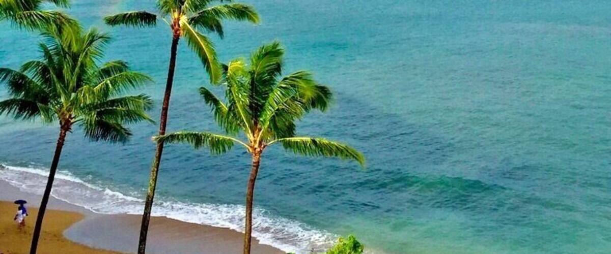 Somewhere over the rainbow
This is your view at The Royal Kahana in Maui
#BeachBound
#Maui
#Hawaii