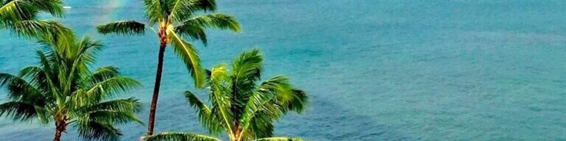 Somewhere over the rainbow
This is your view at The Royal Kahana in Maui
#BeachBound
#Maui
#Hawaii