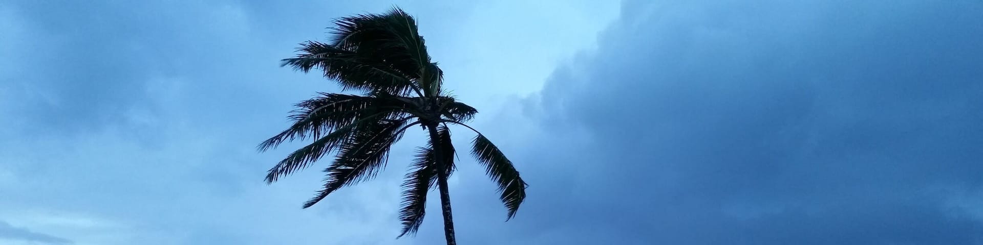 Partial view from the pool