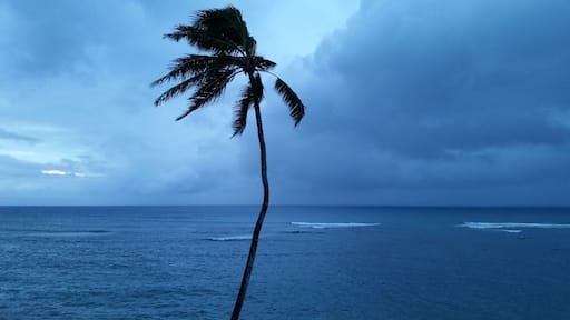 Partial view from the pool