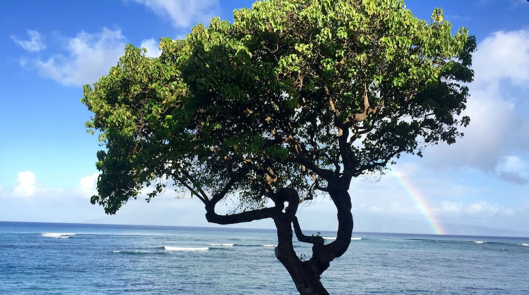 At my #homeaway vacation rental. So lovely and peaceful #lifeatexpedia