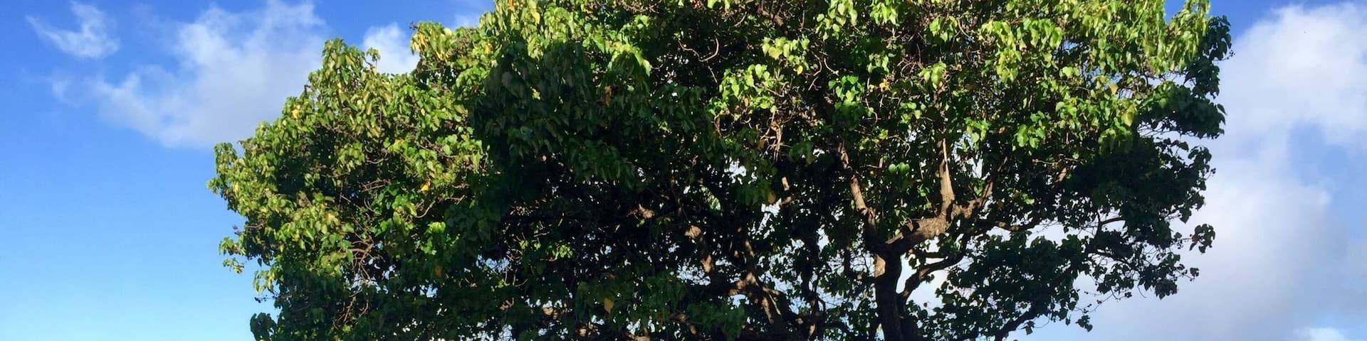 At my #homeaway vacation rental. So lovely and peaceful #lifeatexpedia