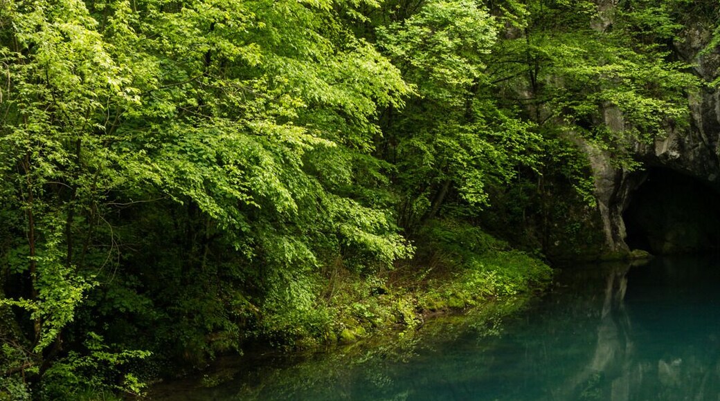 Krupajsko vrelo is a a spring located in Eastern Serbia, close to the village Milanovac. There is a small restaurant nearby where you can try extremly fresh fishes from the adjacent fish farm.
#Serbia #Nature #Spring #Waterfall #Reflection