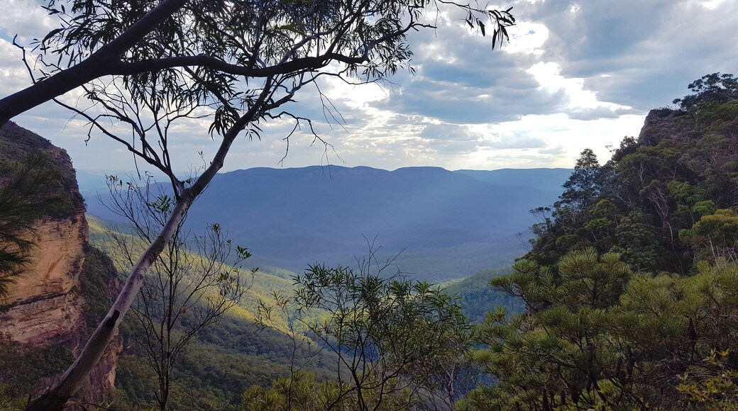 Rocky Crossing Track