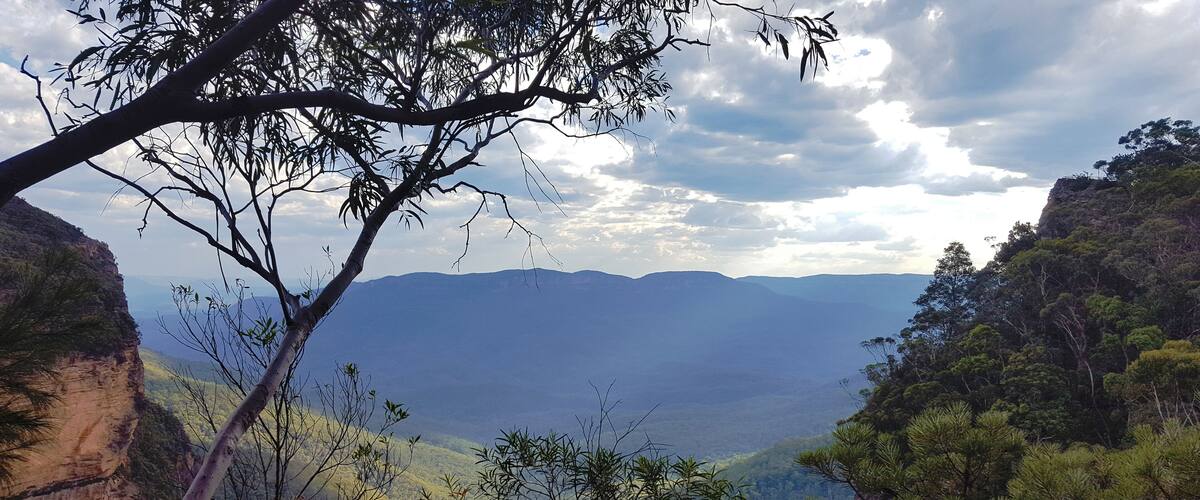 A mountainous landscape with dense forest and a clear sky.