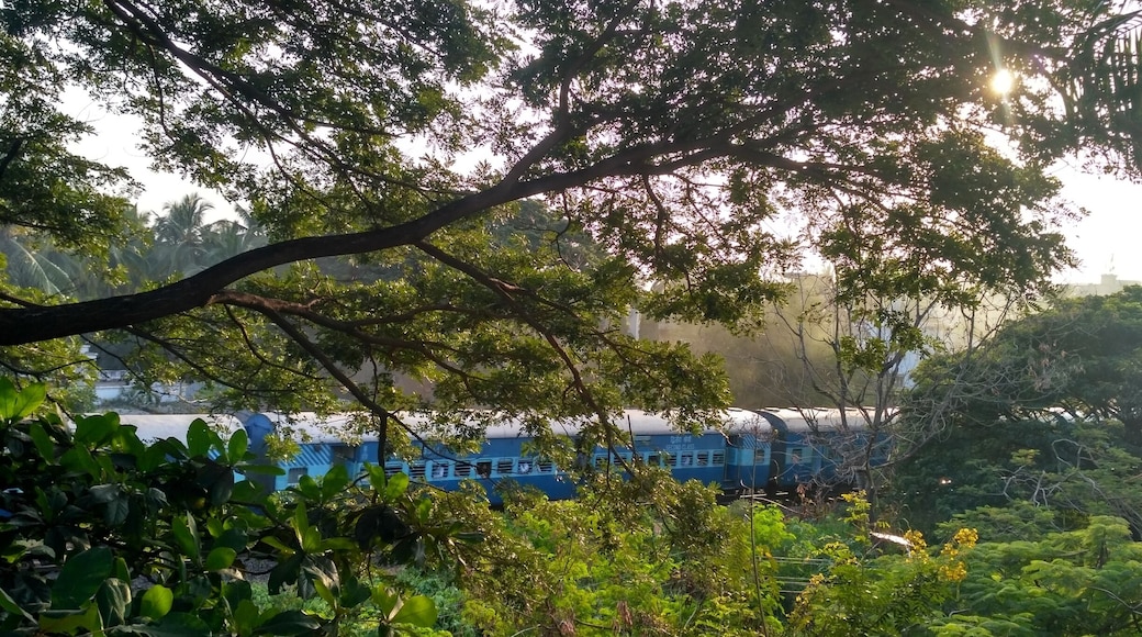 Nostalgia.
Spent my childhood here. It still remains my favourite place. I spend most of my time home on the terrace, staring at the passing by train and wondering of the stories of all the passengers!