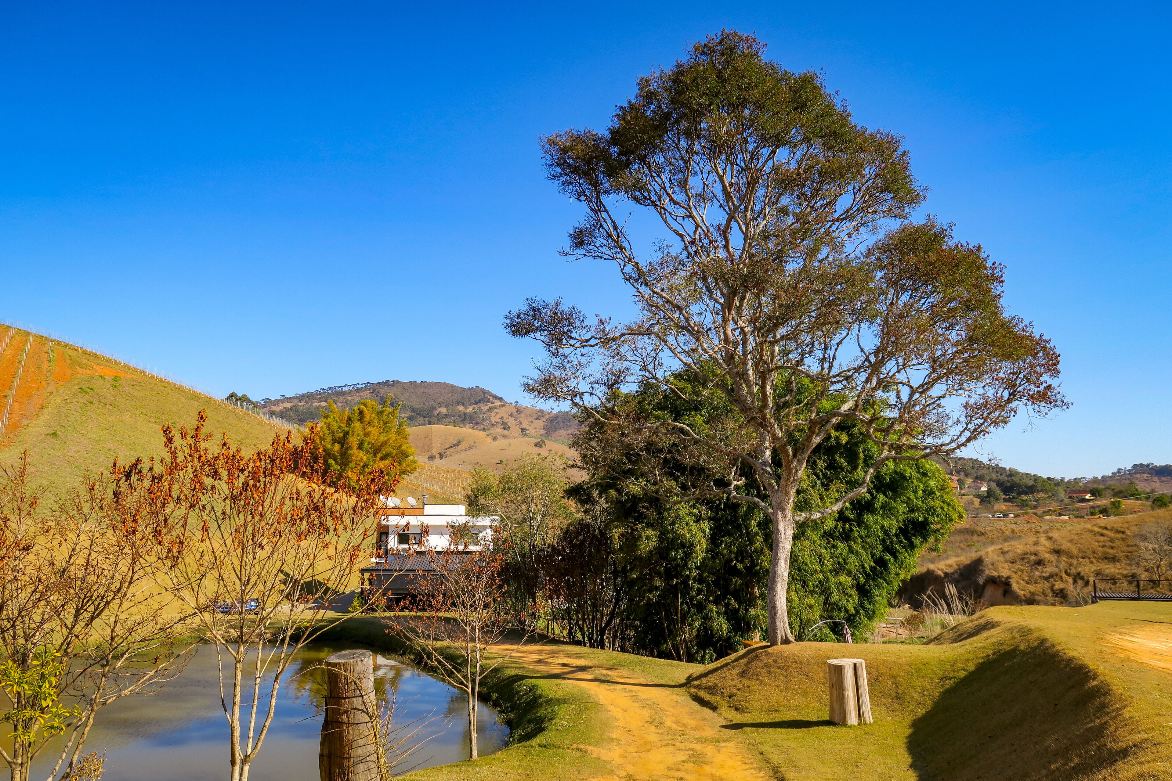 Vinícola Villa Santa Maria Brandina - São Bento do Sapucaí, São Paulo