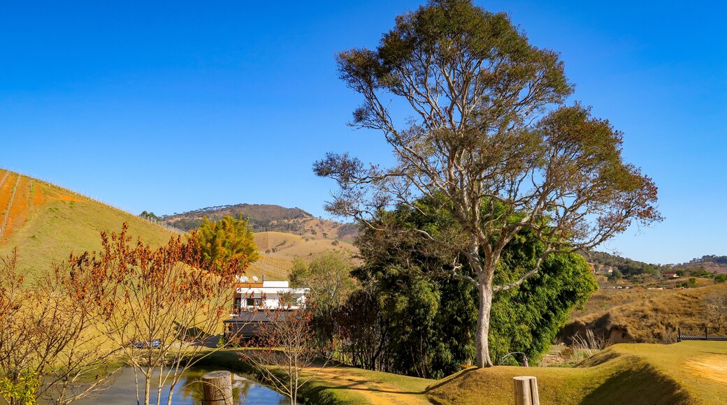 Domaine Viticole Villa Santa Maria