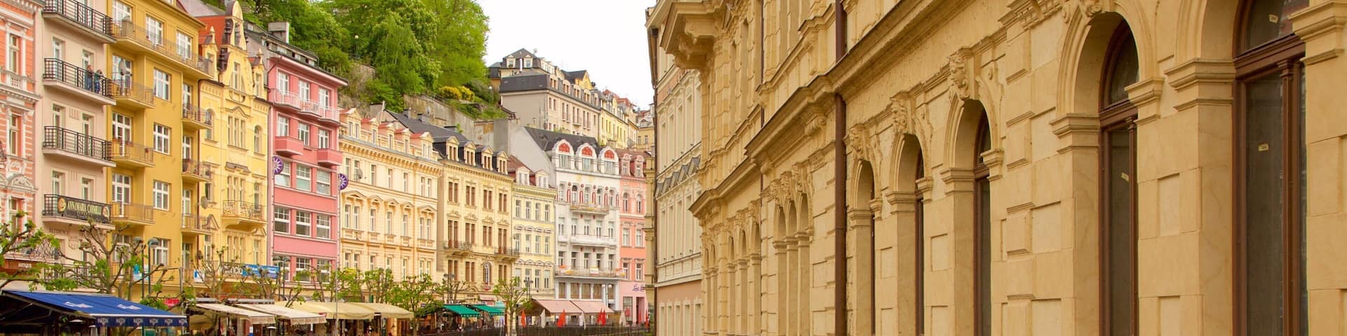 Karlovy Vary which includes a river or creek and a city