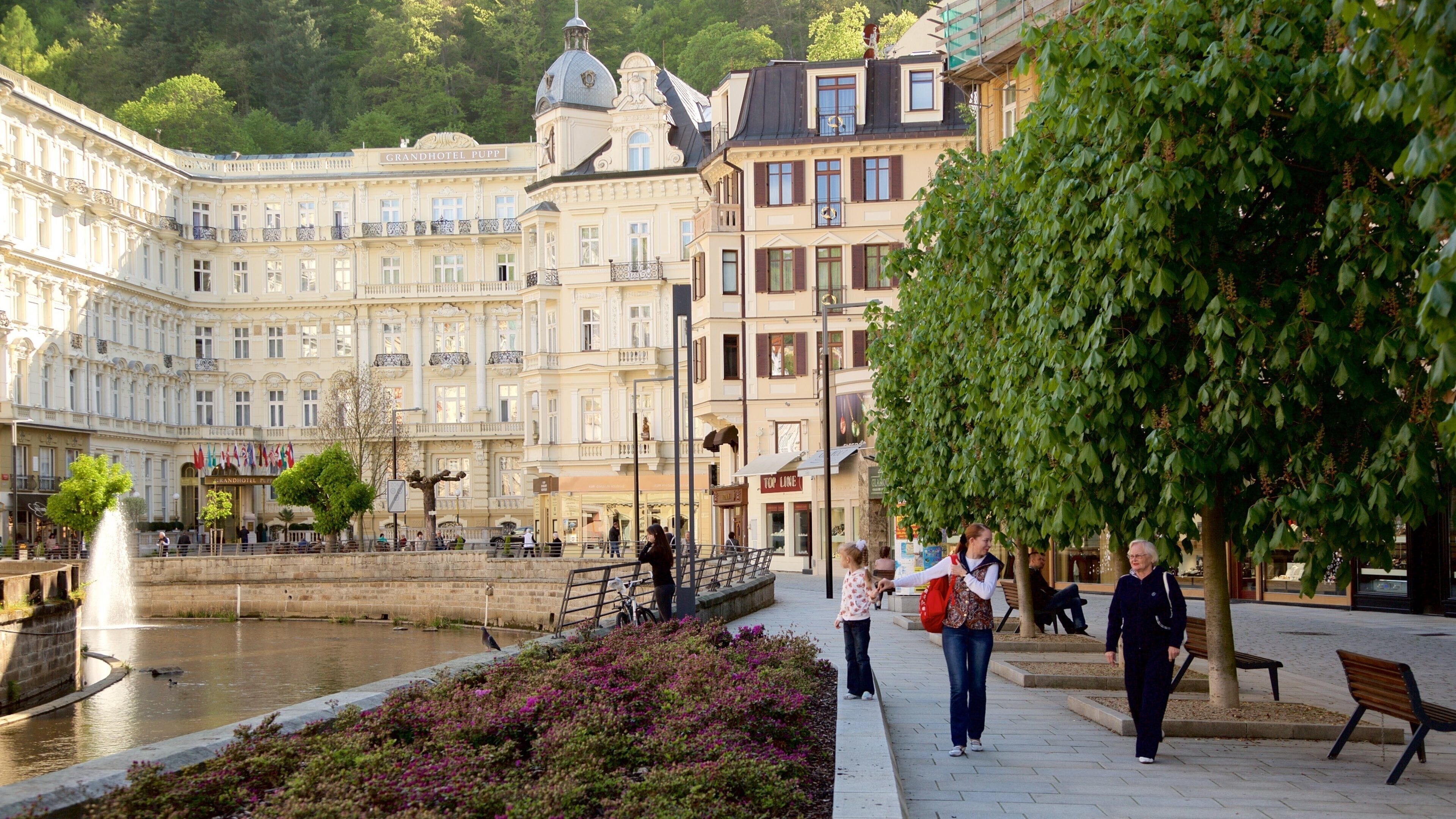 Karlovy Vary som viser elv eller bekk og by