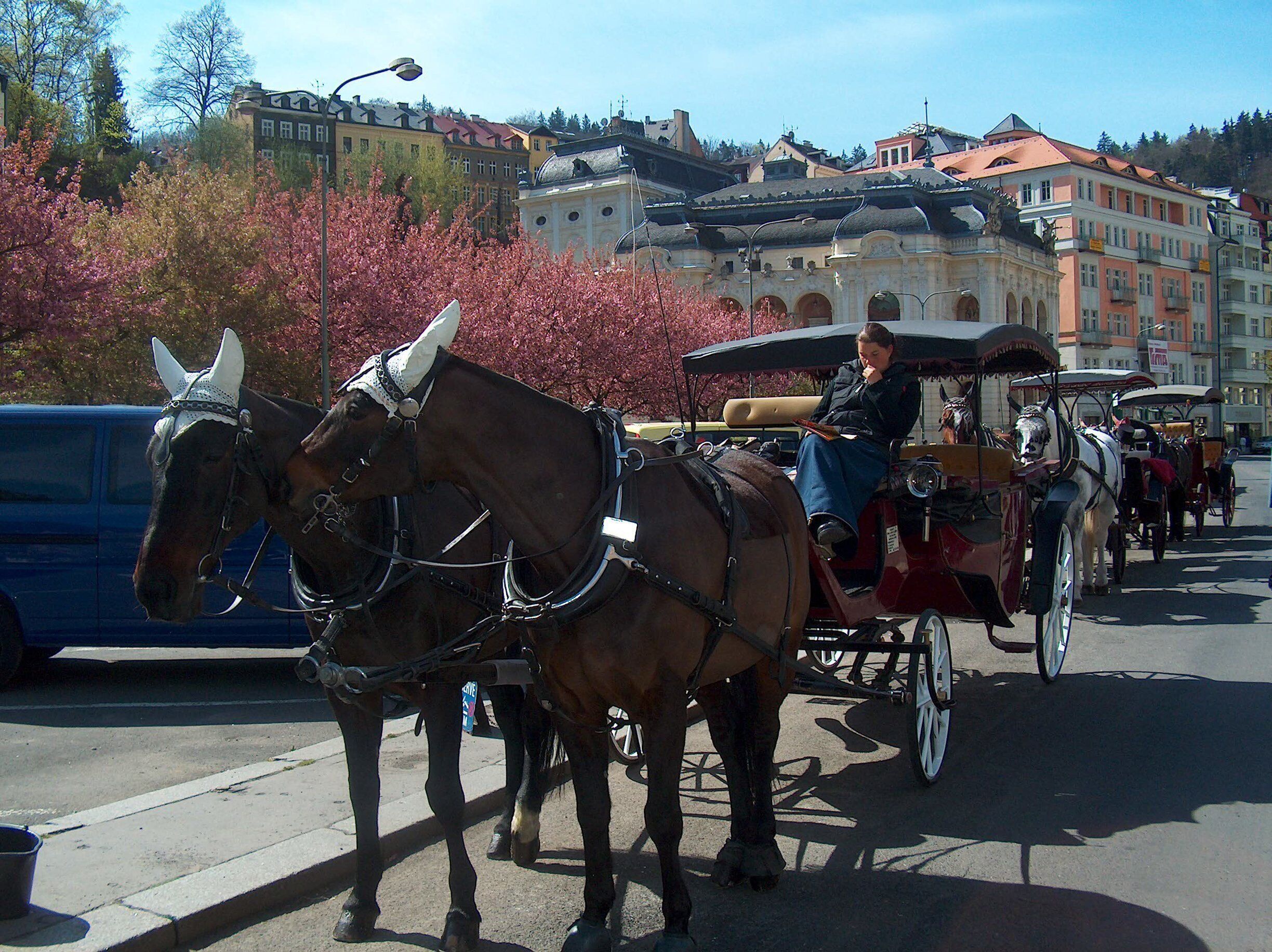 Karlovy Vary, 
Czech Republic 
#Karlovyvary #Czechrepublic #photoofday #history #travel #holiday #photo #nofilter #discovery 