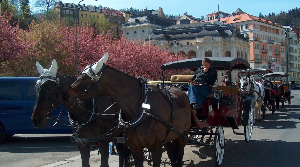 Karlovy Vary,
Czech Republic
#Karlovyvary #Czechrepublic #photoofday #history #travel #holiday #photo #nofilter #discovery