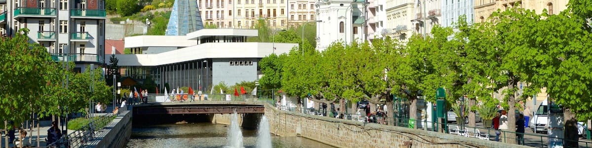 Karlovy Vary montrant fontaine, rivière ou ruisseau et ville