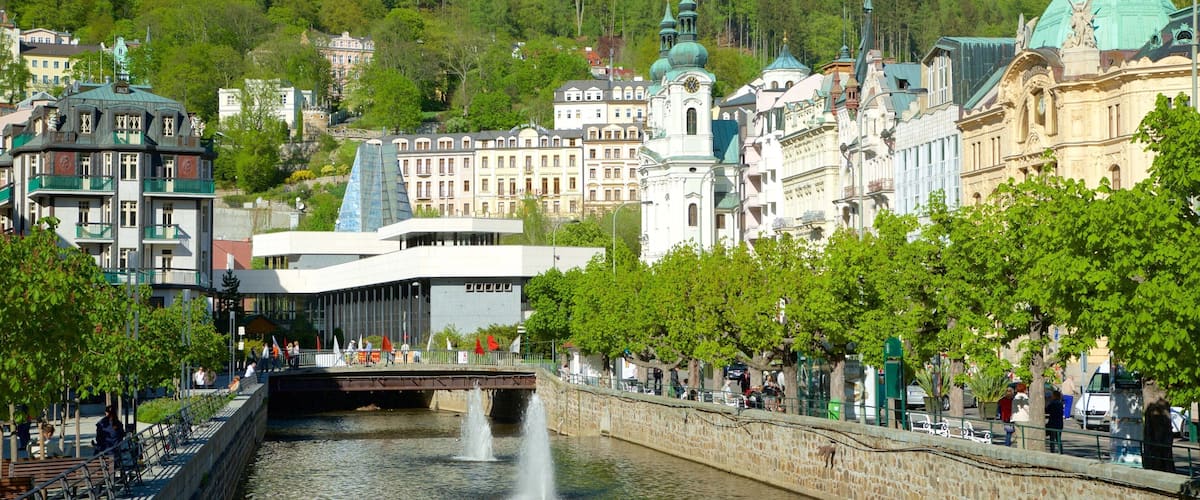 Karlovy Vary featuring a fountain, a city and a river or creek