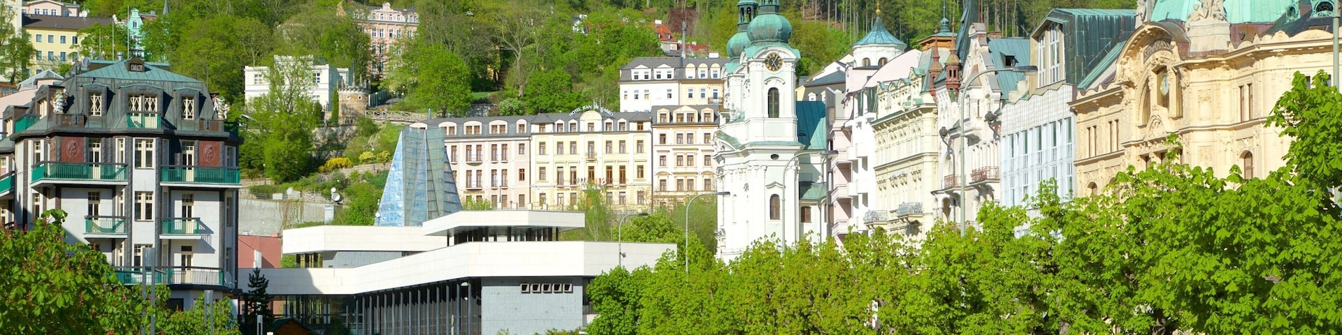 Karlovy Vary featuring a fountain, a city and a river or creek