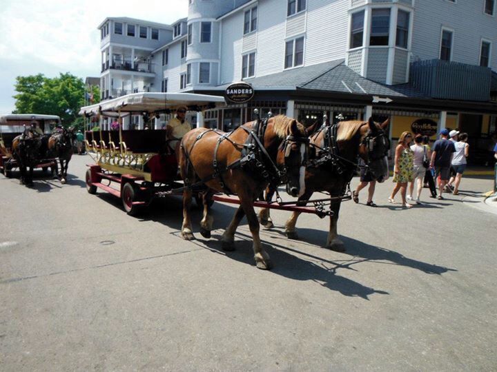 The way out to Mackinac Island is by ferry, and since vehicles aren't allowed on the island, it's best to get there early for parking. The ferry doesn't move overly fast, but you're on open lake water and it's fast enough to stir up quite the wind, so I suggest a warm sweater and/or scarf & hat for the journey out (and especially the journey back in at night). Since the general public isn't allowed a vehicle on the island (never fear, there are service/emergency vehicles and snowmobiles are allowed in the winter), travel around the island will be by bicycle, on foot, or in horse-drawn carriages, such as the one pictured here. 