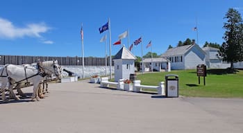 Seeing the sights and learning while in Mackinac Island