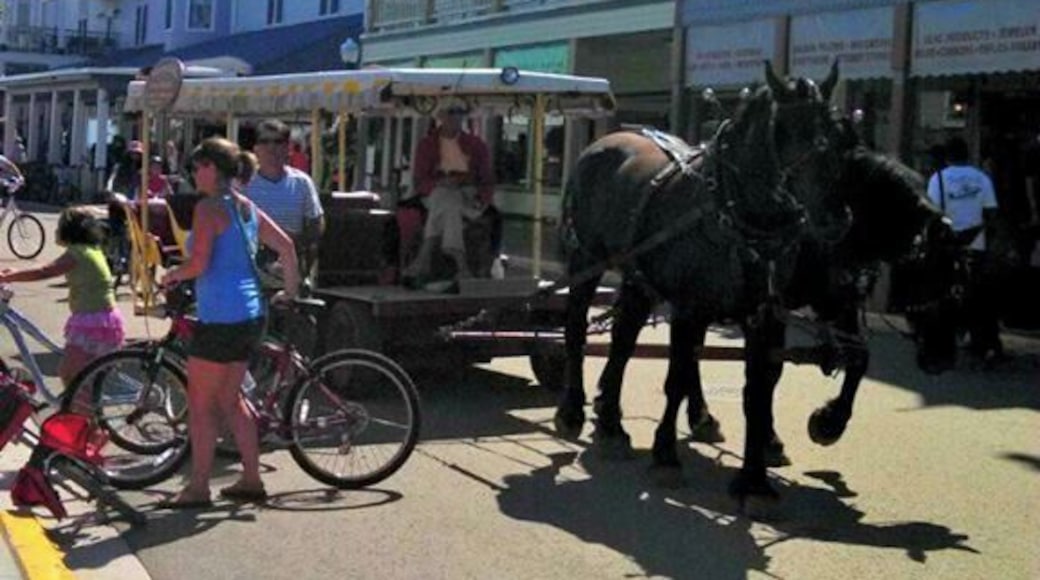 No cars on the island but a great opportunity to bike! There is a path all the way around the island. Great chance to stop and see all that the island has to offer! Don't forget to reward yourself with some fudge!