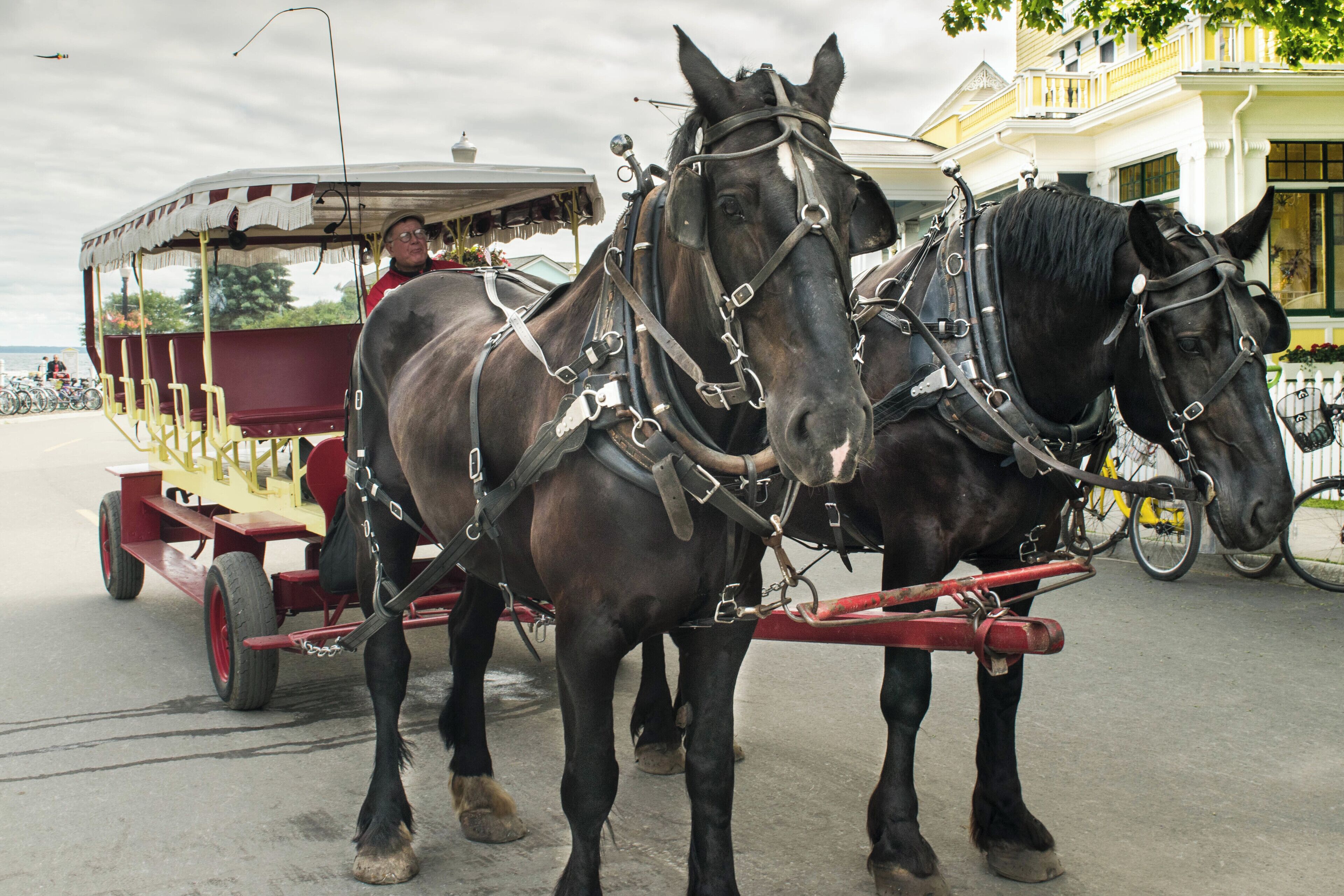 Mackinac Island, MI. Cool spot to step back in time. 
