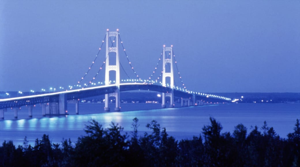 Mackinac Island featuring night scenes, island images and a bridge